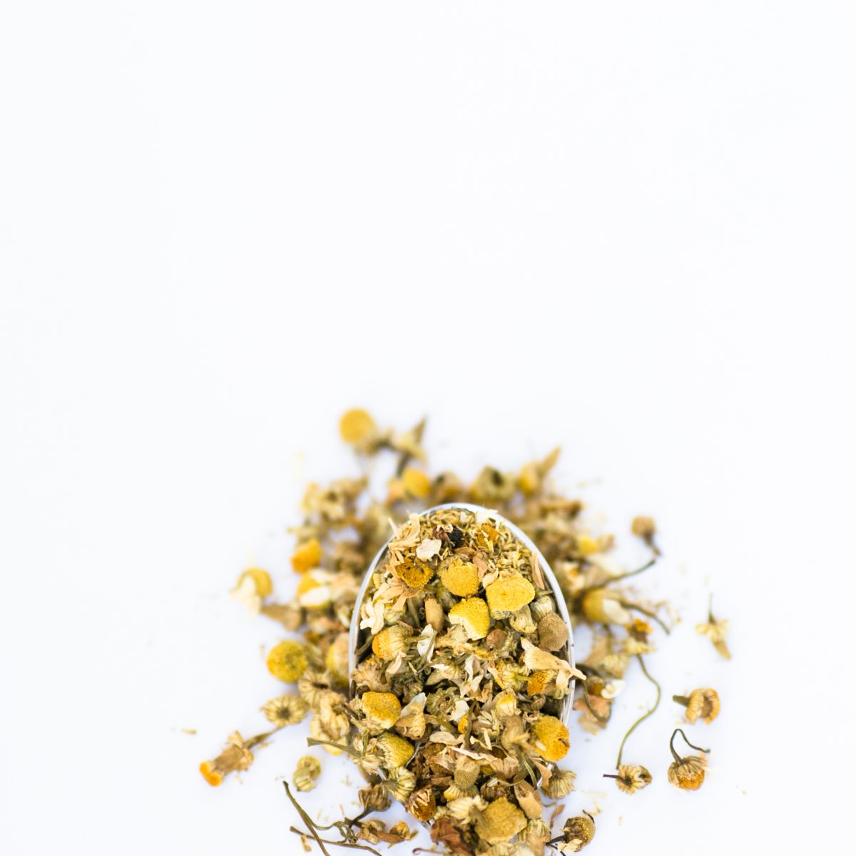 TIMELESS Premium Organic Dried German Chamomile flowers – TIMELESS  Essential Oils